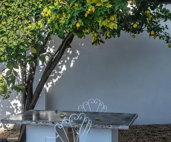 Lemon * רומא